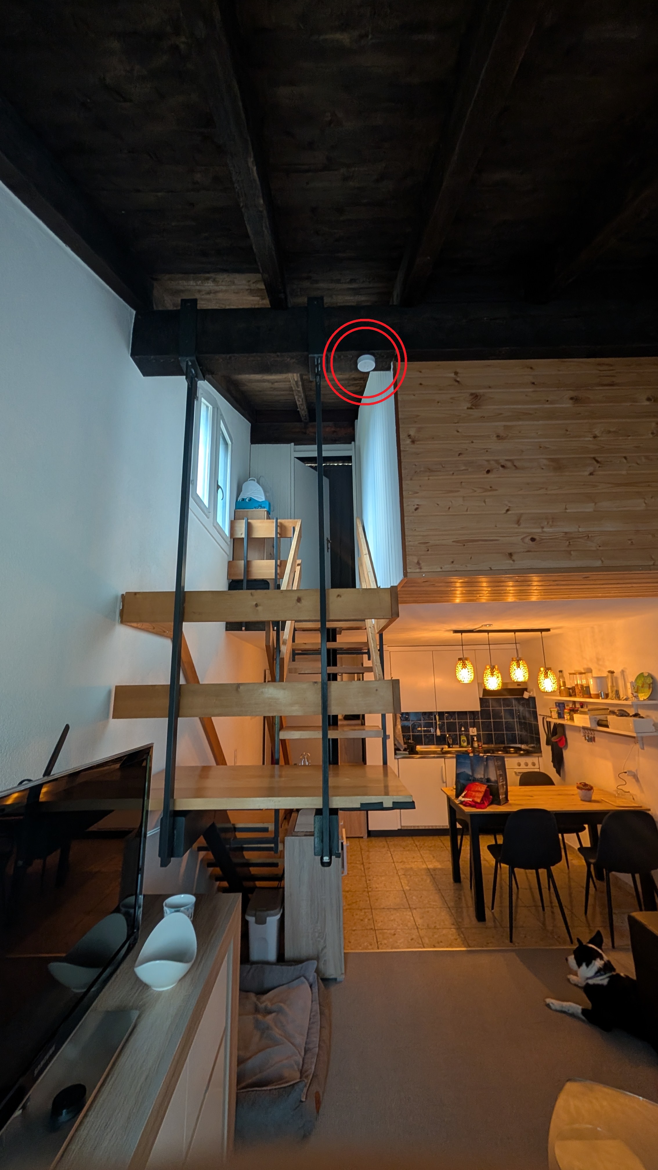 Markierter Rauchmelder oben an der Decke